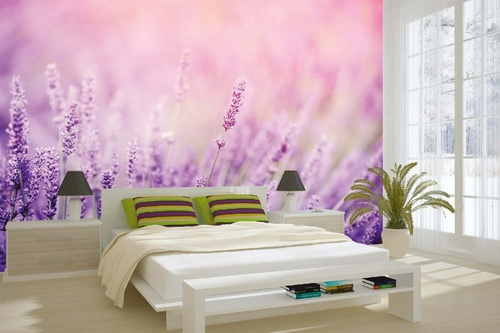 Vlies Fototapete - Lavendel-Detail 375 x 250 cm
